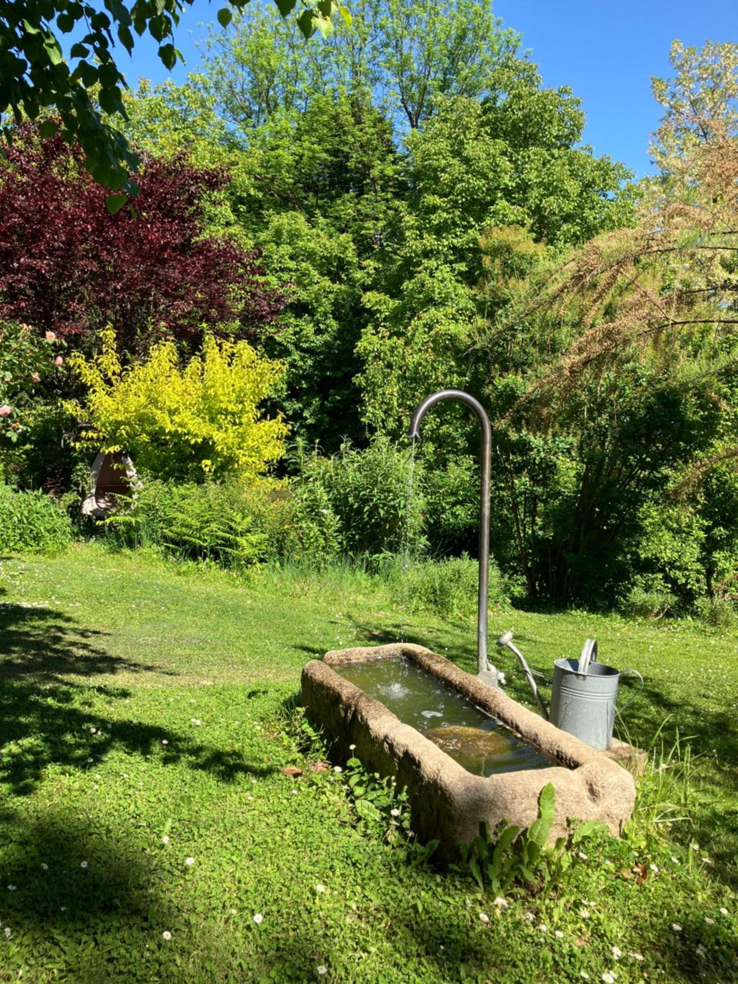 Apartment Louisenvilla Bad Gleichenberg