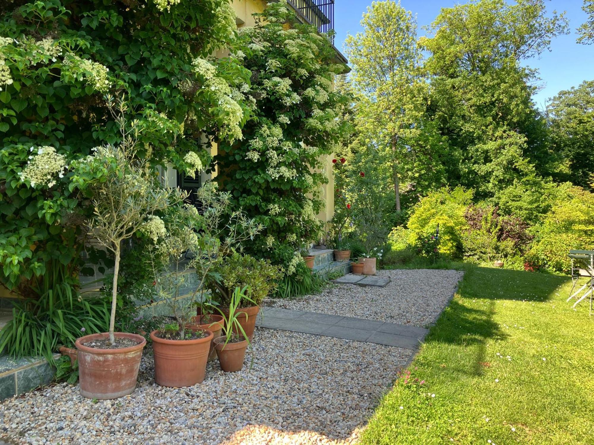 Apartment Louisenvilla